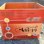 밀양얼음골 경상도 홍로사과 부사 아리수 5 10kg 가정용 선물용 : 과채팡팡