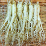 인삼 수삼 인삼꿀절임 세척 원수삼 중 1채 금산 : 금산수삼시장