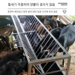 축사 먹이통 소 여물통 야외 스테인레스 배식통 1m 양면 스틸 : 외길