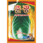 [모종심는아빠] 맛과 품질 좋은 봄노랑 춘광 봄배추 종자 2000립 : 모종심는아빠