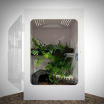 NRC 포맥스사육장 303045cm 붙이류게코 크레케이지 NP-2 : 뉴런 팩토리