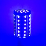 E14 E27 B22 LED 옥수수 조명, 레드 핑크 블루 그린 옐로우 전구, 에너지 절약 램프, 5W, 10W, 30W, 60W, 80W, 110V, 220V : 바다글로벌3