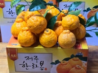 한라봉5kg : 귤팡