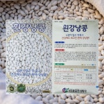 흰강낭콩씨앗 하얀강낭콩씨앗 100립 1봉, 수량 건강 훌륭 : 태웅씨앗자재마트
