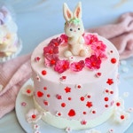 Kasvan 베이킹 레드 식용 펄 슈가 스프링클 230g Edible Pearl Sugar Sprinkles : 그린펌킨