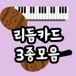 리듬카드 3종모음 (피아노학원 특강 음악교구) : 에브리데이뮤직