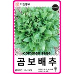 곰보배추씨앗 1000립 / 배암차즈기 곰보배추종자 봄 가을 파종 작물 채소씨 : 아진종묘 꽃씨몰