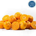 못난이 천혜향 10kg 5kg 3kg 제주 가정용 10키로 5키로 3키로 꼬마 벌크 파지 : 우리바다농수산