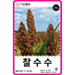 수수씨앗 20g / 찰수수 키작은 종자 씨 국산 재래종 : 아진종묘 꽃씨몰