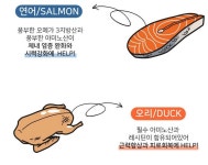 쉐프의레시피 대용량 4종 트릿 800g 오리고기, 1개, 1개 : 스트로울링 펫
