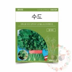 옥이드림 텃밭 채소 씨앗 고수 주말농장씨앗 야채씨앗 : 옥이드림
