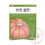 옥이드림 텃밭 채소 씨앗 호박 주말농장씨앗 종자 : 옥이드림