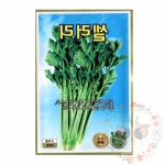 옥이드림 씨앗 샐러리 종자씨 채소씨앗 주말농장 : 옥이드림