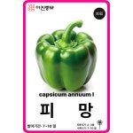 아진그린푸드 제너셈점 | 피망씨앗 30립 / 그린 파프리카 채소씨앗 과일 쁘띠벨 종자 핑거푸드 샐러드 : 아진종묘 꽃씨몰