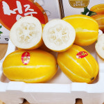 프리미엄 성주고당도겨울 하우스 제철 꿀 참외 가정용 로얄과 참외1.5kg 3kg 5kg : 마니기업