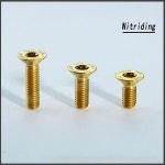 티타늄 볼트 M5X12 15 20 30 35MM TORX 플랫 카운터 싱크  내부 플러머 나사  휠개조 질화 1개 : 바른코드