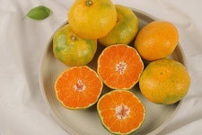 영희네감귤농장 제주 남원 천혜향 3kg,5kg 신선한 제철과일 : 제주 영희네 감귤농장