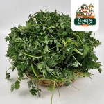 해풍맞고 자란 국내산 노지 자연산 쑥 : 우주아빠 신선마켓
