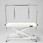 미용테이블 자동 리프팅 애견미용테이블 전기 대형 전동 대형견 유압 전동테이블 3 102-유압리프트테이블 135cm공간필요 : 두잉스파크