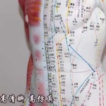 한의원 마네킹 침술 경락 경략 여성 한방 경형모형 인체 침술점 모델 : 성민이직구몰