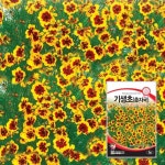 기생초 씨앗 2g  꽃씨, 꽃씨앗 : 한농아그로