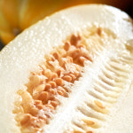 햇살상회 성주참외 못난이 꿀 참외 2kg : 햇살 상회