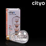 씨티 LED 눈꽃 램프 2W ST64 : 원라이팅 조명쇼핑몰