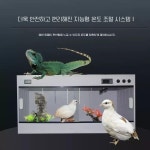 대형 온도조절 케이스 하우스 파충류 개구리 이구아나 케이지 : 엉클보부상