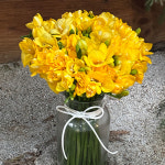 따뜻한 햇살을 담은 프리지아 3단 5단 : 벨라맘마 마켓