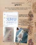 동물의 보감 강아지/고양이 전용 한방 츄릅 짜먹는 간식 : 코애니 CO-ANI