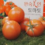완숙 동양종 찰 토마토 2kg 4kg : 전북특별자치유통센터