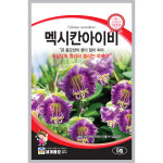 멕시칸아이비 5립 코베아 세계종묘 꽃씨 화훼 씨앗 모종 꽃 : 허수아비정원