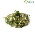 해풍맞은 노지냉이 햇 냉이 봄나물 1kg 세척 냉이 : 주식회사 채선
