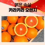 오렌지 카라카라 자몽오렌지 빨간오렌지 달콤한 쌉싸름 붉은색 : 산월애팜