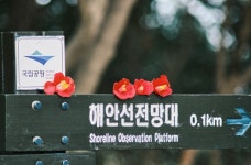 거제 지세포항 출발 지심도 여행 왕복승선권 도선 유람선 배편예약 동백꽃투어 : PANG PANG