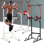 실내 프리미엄 치닝디핑 턱걸이 철봉 운동기구 풀업바 : 두리룸