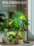 식물 식물등스탠드 생장등 태양광 실내 정백색 타이밍 2 5 난초 50CM 10와트 8 ❤️이하 10-20와트 둥근머리 스타일 ❤ : 가나뽀