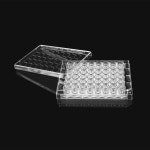 LABSELECT 6~96 - well Cell Culture Plate 11118, 11218, 11318, 11418, 11518 : 에이엘티