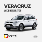 현대 베라크루즈 차바닥매트 : 모빌하임
