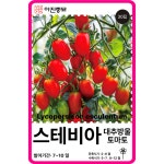 스테비아 대추방울토마토씨앗 30립 / 미니방울 채소씨앗 과일 종자 키우기 희귀 : 아진종묘 꽃씨몰
