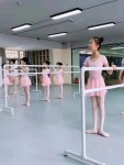 발레바 발레봉 댄스 스트레칭 연습실 무용 프레스바 1 이중 발레바연습 100x60x105 가로 60 세로 100 높이 홑겹 : 사돈