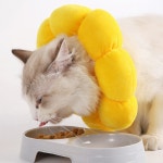 반려동물 위드어스 플라워 넥카라 M : 토브네이처 주식회사