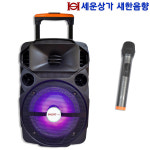 YD-T1충전식앰프 USB, 블루투스, 에코, 녹음 재생, 최대 200W PJ8080 : 새한음향 세운상가