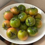 대저 짭짤이 토마토 1kg 2.5kg 당일수확 짭짜리 짭잘이 짭짭이 : 가마골보부