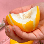 산지직송 나진농장 성주참외 13brix이상 로얄과참외 못난이 흠집 2kg 5kg : 산지직송농수산몰