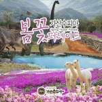 [칠곡] 가산수피아 패키지권 할인 : LSCOMPANY
