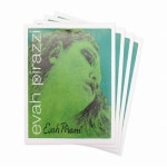[일본 직수입]Pirastro Evah Pirazzi 바이올린 현 세트 EADG 세트 (E3132, A4192, D4193, G4194) 1/4+1/8 사이즈용 피라스트로 에바 필... 