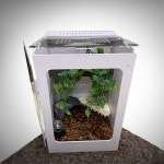 NRC 포맥스사육장 303045cm 붙이류게코 크레케이지 NP-2 : 뉴런 팩토리