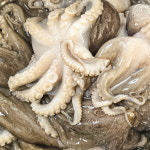 냉동 쭈꾸미 주꾸미 손질 업소용 볶음 도매 활 급냉 급랭 절단 1kg : 칠성시장우성수산