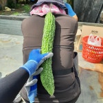 밭들농장 국내산 씨를 완전히 제거한 여주환 100g, 2개 : 밭들농장